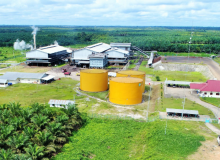 Animal oil refining equipment