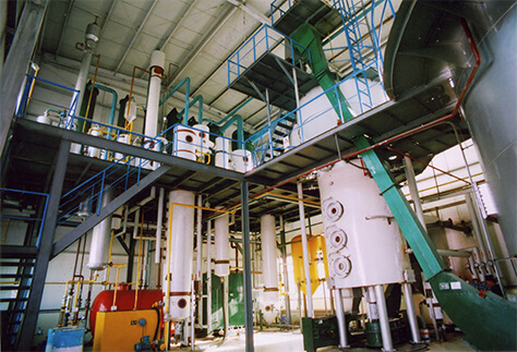 Vegetable oil processing technology and equipment