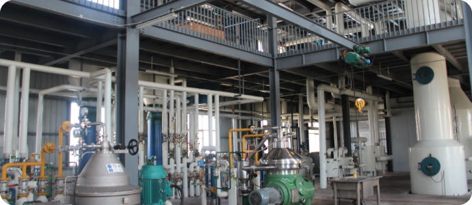 vegetable oil refining equipment