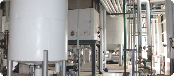 Vegetable Oil Equipment Factory