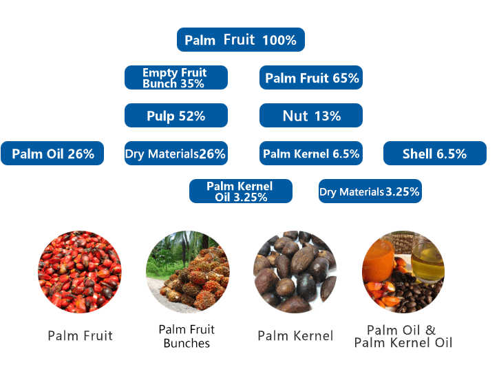 Palm Oil Processing Equipment